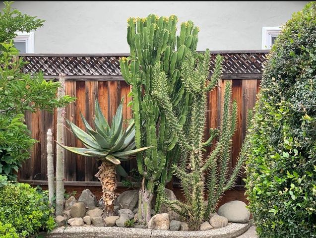 4001 Golf Dr., San Jose, CA 95127