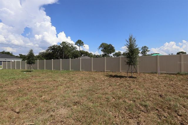3539 WOLVES CREEK PLACE, Apopka, FL 32712