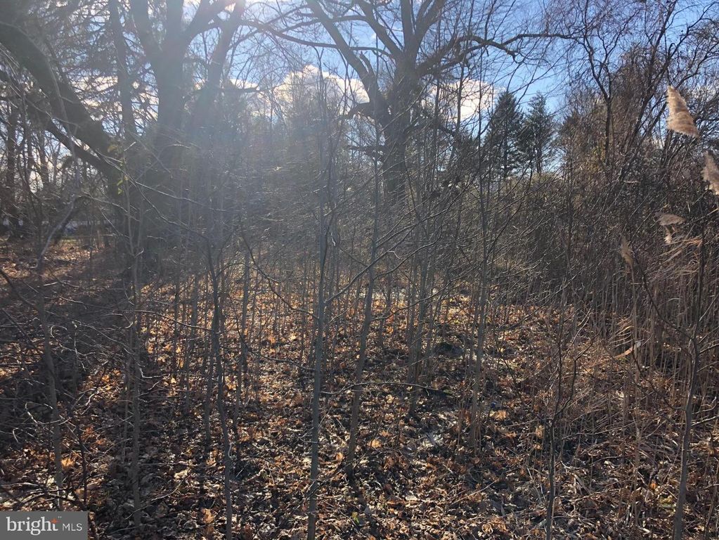 167 ROBBINSVILLE ALLENTOWN RD, ROBBINSVILLE, NJ 08691 — photo 5