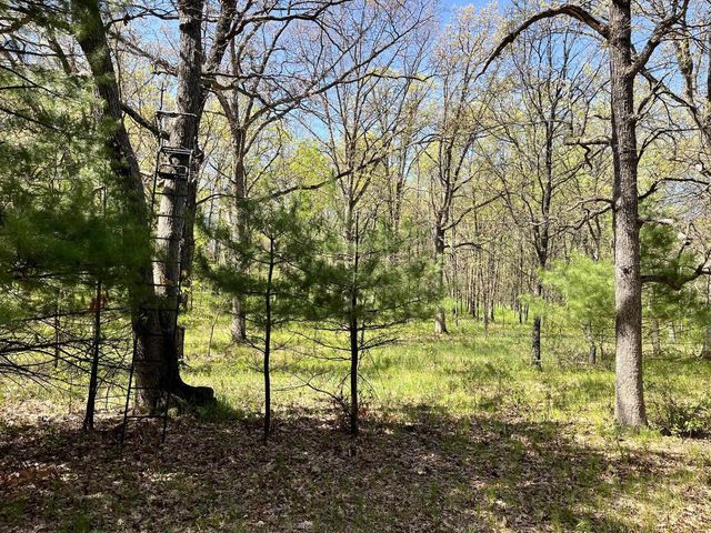 249 Dyke Avenue, Grand Marsh, WI 53936