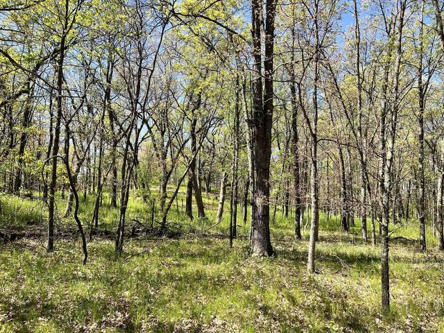 249 Dyke Avenue, Grand Marsh, WI 53936