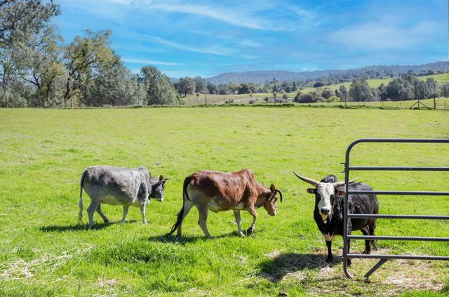 3081-3079 Little Spur, Somerset, CA 95684