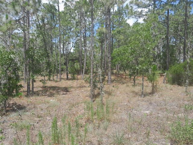 TBD NE 149TH COURT, Williston, FL 32696