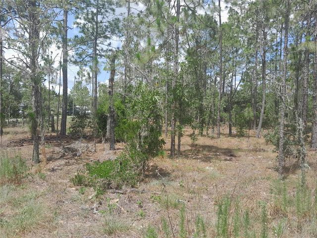 TBD NE 149TH COURT, Williston, FL 32696