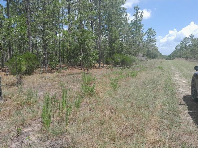 TBD NE 149TH COURT, Williston, FL 32696