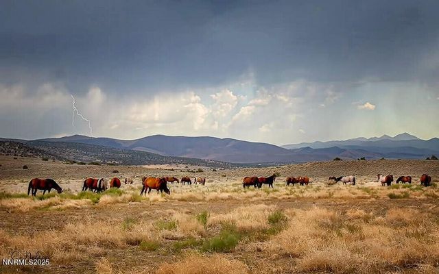 1281 Jo Lane, Gardnerville, NV 89410