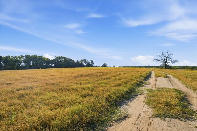 7335 CR 4710, Larue, TX 75770