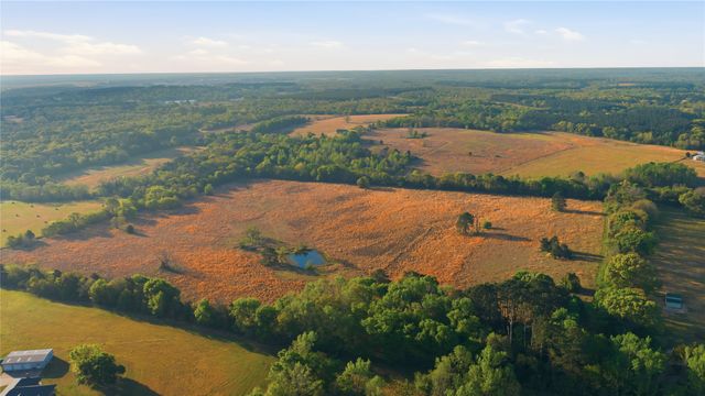 7335 CR 4710, Larue, TX 75770