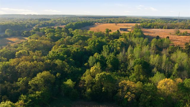 7335 CR 4710, Larue, TX 75770