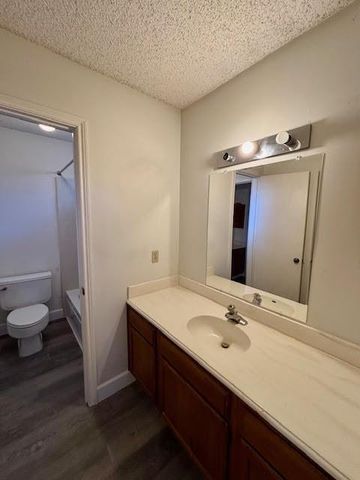 2 Purpletop Court, The Woodlands, TX 77381