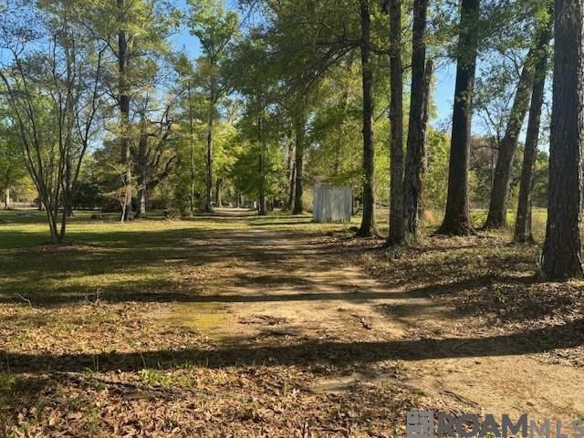 La Hwy 42, Prairieville, LA 70769