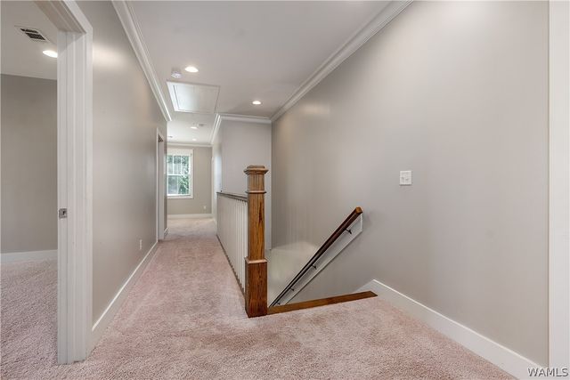 5429 Park, Tuscaloosa, AL 35406