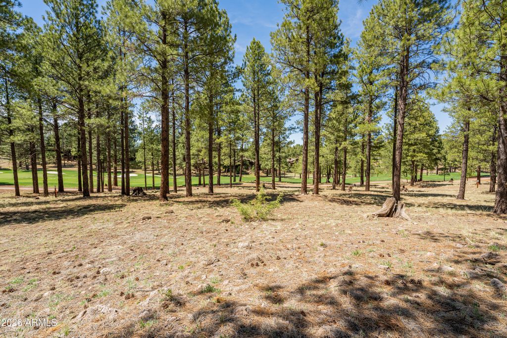 Image 2 of property listing at 3681 S Woodland Hills Drive 363, Flagstaff, AZ 86005