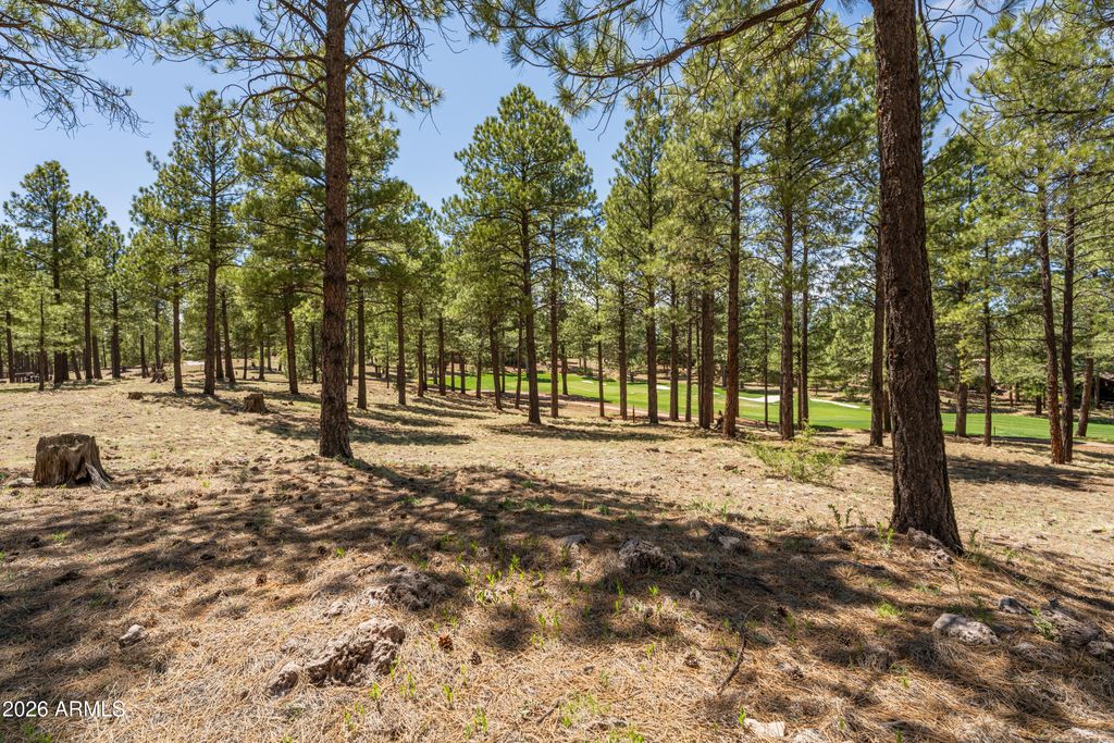 Image 3 of property listing at 3681 S Woodland Hills Drive 363, Flagstaff, AZ 86005