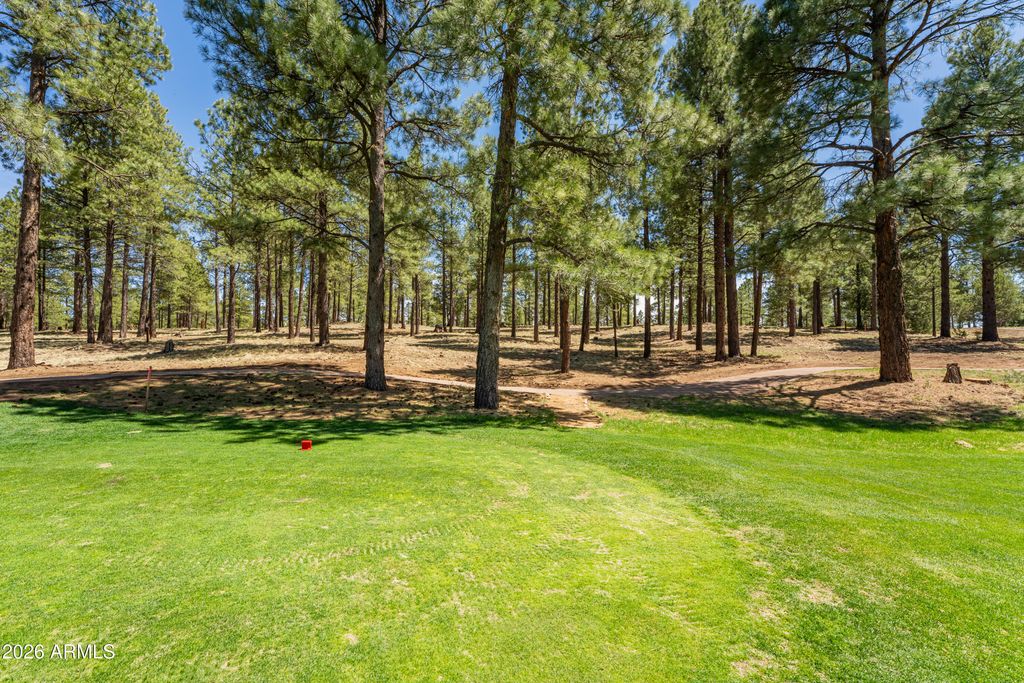 Image 4 of property listing at 3681 S Woodland Hills Drive 363, Flagstaff, AZ 86005