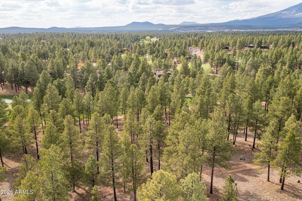 Image 5 of property listing at 3681 S Woodland Hills Drive 363, Flagstaff, AZ 86005