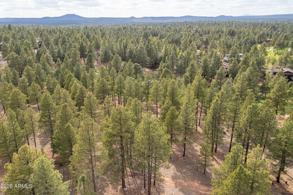 Image 6 of property listing at 3681 S Woodland Hills Drive 363, Flagstaff, AZ 86005