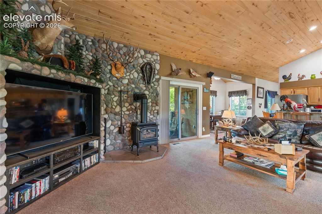 3133 Homestake Place, Lake George, CO 80827 — photo 4