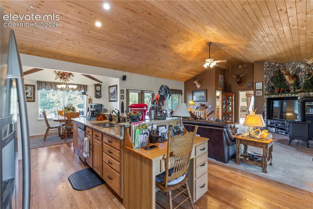 3133 Homestake Place, Lake George, CO 80827 — photo 5