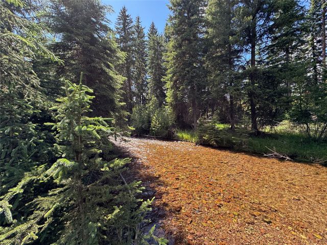 265 N Canyon Drive, Seeley Lake, MT 59868