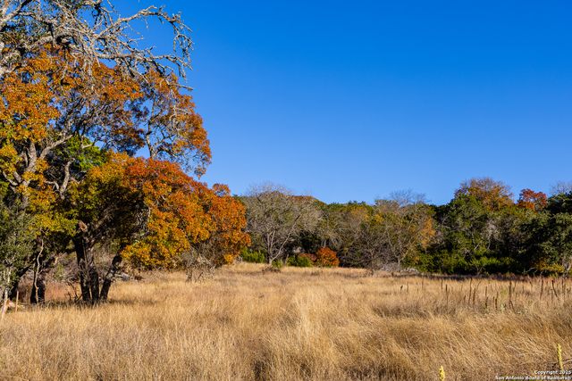 230 Cade Loop, Ingram, TX 78025