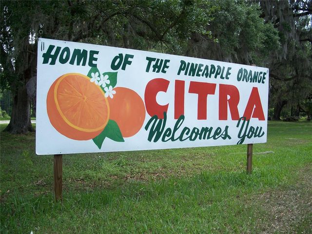 0000 NE 164TH PLACE E, Citra, FL 32113