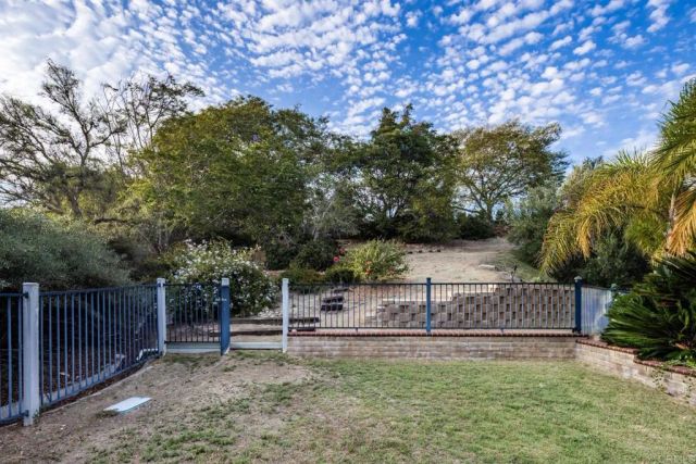 3105 Caminito Ricardo, Encinitas, CA 92024
