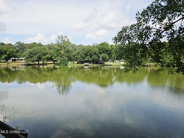 329 Swan Lake Drive, Jackson, MS 39212