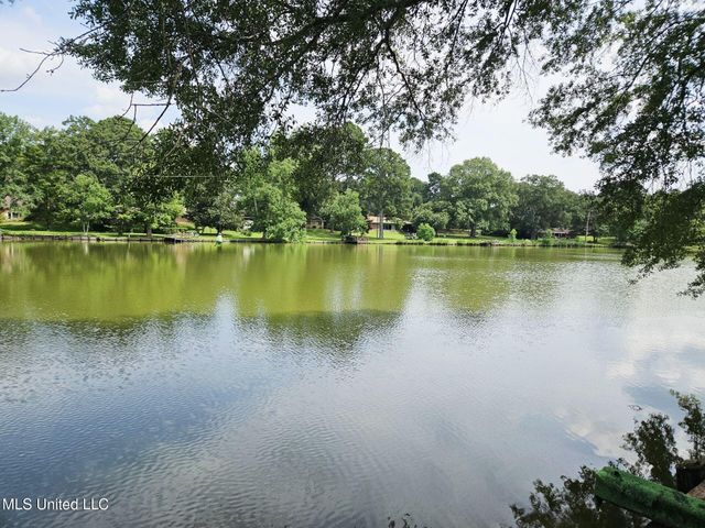 329 Swan Lake Drive, Jackson, MS 39212