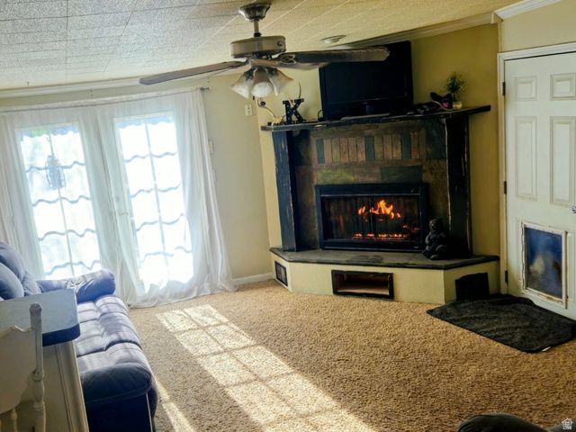 314 CIRCLE DR, Montpelier, ID 83254