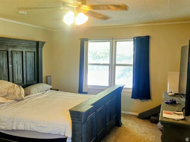 314 CIRCLE DR, Montpelier, ID 83254