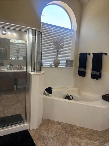 13600 Amber Dawn CT, Manor, TX 78653