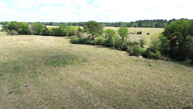 968 CR 3490, Lovelady, TX 75851