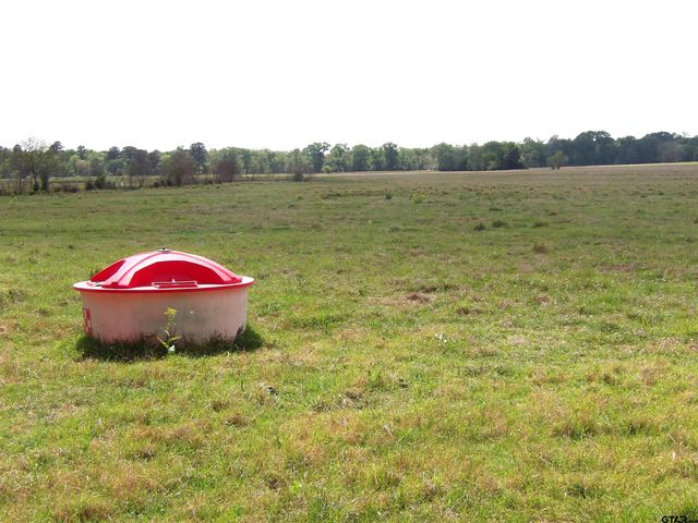 968 CR 3490, Lovelady, TX 75851