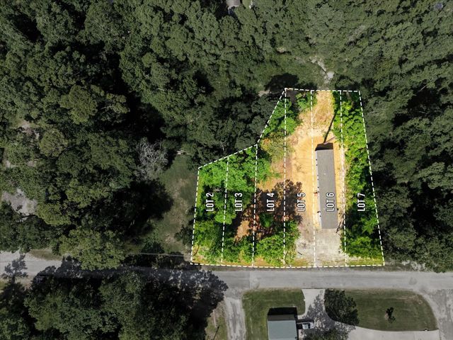 222 Moose Dr, Onalaska, TX 77360