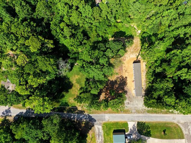 222 Moose Dr, Onalaska, TX 77360