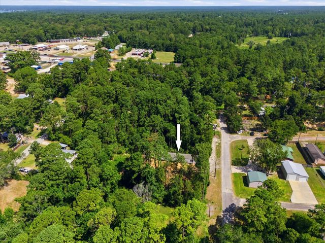 222 Moose Dr, Onalaska, TX 77360