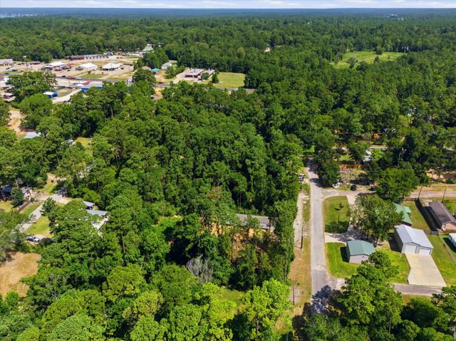222 Moose Dr, Onalaska, TX 77360