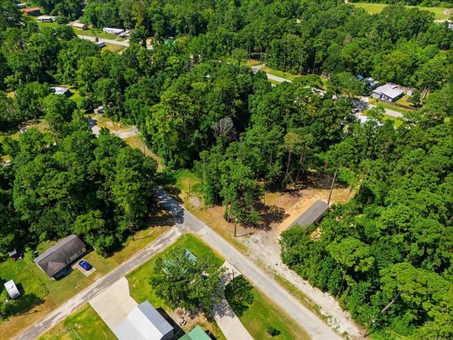 222 Moose Dr, Onalaska, TX 77360