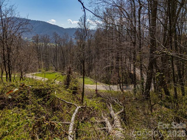 TBD Dads Retreat Trail, Canton, NC 28716