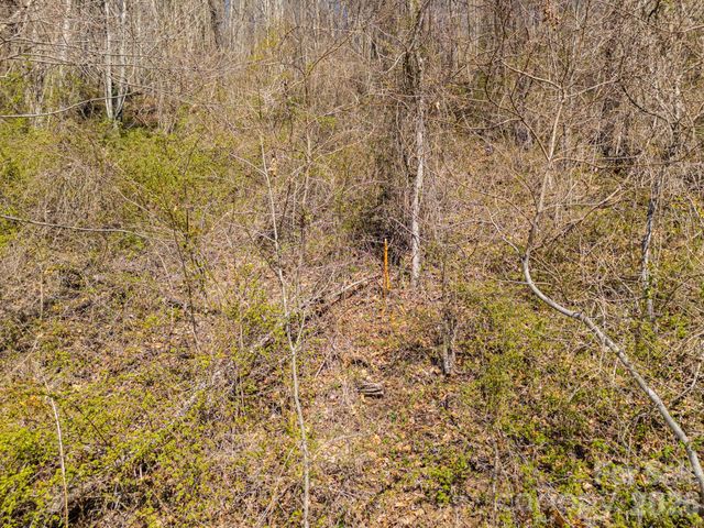 TBD Dads Retreat Trail, Canton, NC 28716