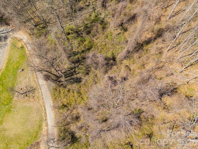 TBD Dads Retreat Trail, Canton, NC 28716