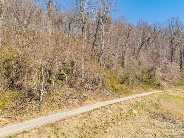 TBD Dads Retreat Trail, Canton, NC 28716