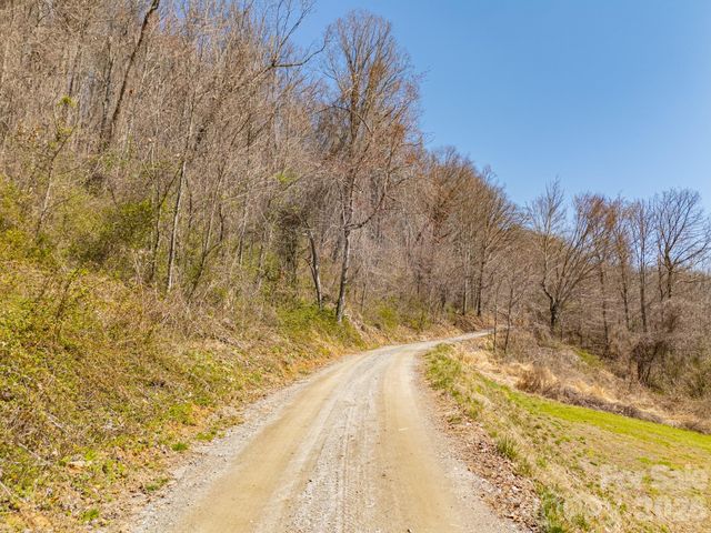 TBD Dads Retreat Trail, Canton, NC 28716