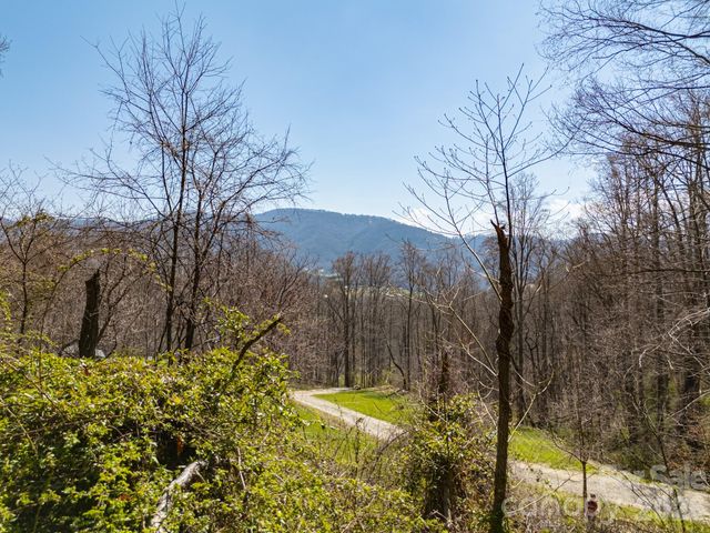 TBD Dads Retreat Trail, Canton, NC 28716