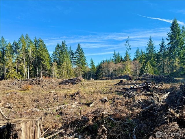 255 E Solbakk Veien Road, Shelton, WA 98584