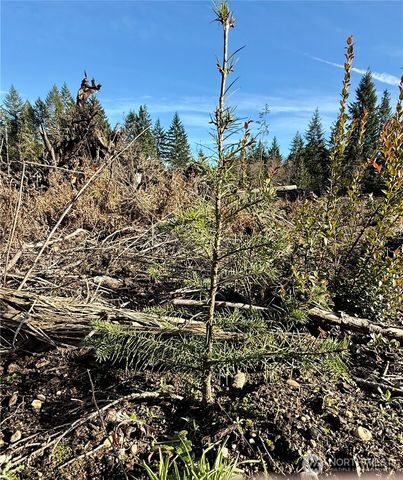 255 E Solbakk Veien Road, Shelton, WA 98584