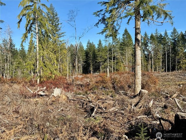 255 E Solbakk Veien Road, Shelton, WA 98584