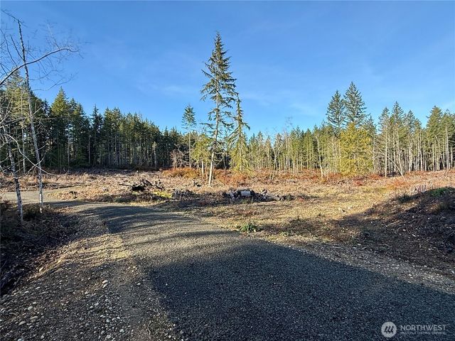 255 E Solbakk Veien Road, Shelton, WA 98584