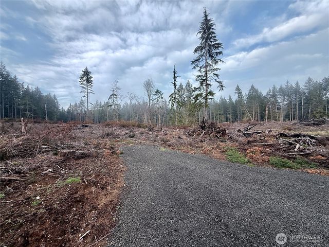 255 E Solbakk Veien Road, Shelton, WA 98584